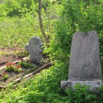 12. Монастырское кладбище