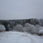 20. Тадулино зимой
