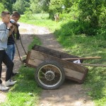высадка аллейки туй на склоне монастырского холма