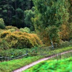 вид