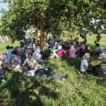 5. Кратковременный отдых