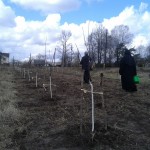 9. монастырский сад.