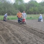 Посадка картошки в Слободе (1)