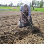 Посадка картошки в Слободе (4)
