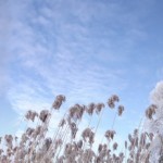 Крещенские морозы в Слободе (16)