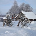 Крещенские морозы в Слободе (4)