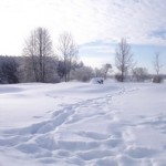 Крещенские морозы в Слободе (5)