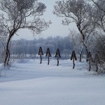 Крещенские морозы в Слободе (6)