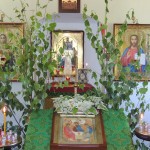 Троица 2016 г. в обители