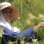 Монастырские будни. Летний день - год кормит! (10)