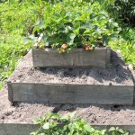 Монастырские будни. Летний день - год кормит! (9)