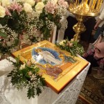 IMG_20260412_002723_711